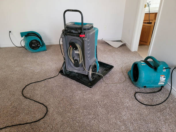 Trusted MO Water damage restoration Experts