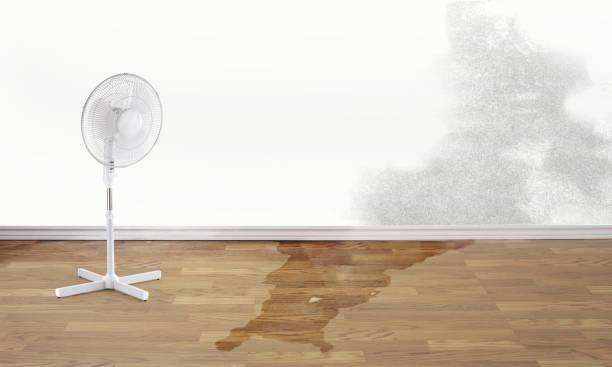 Best 24-hour water damage restoration  in Battlefield, MO