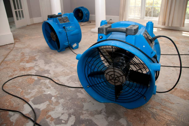 Best Professional water damage repair  in Battlefield, MO