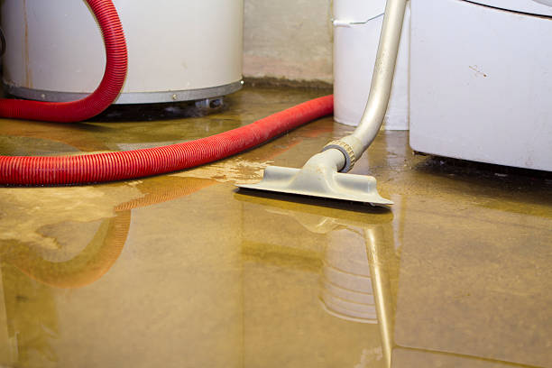 Best Sewage cleanup and water damage restoration  in Battlefield, MO