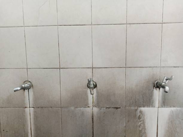 Best Water damage restoration near me  in Battlefield, MO