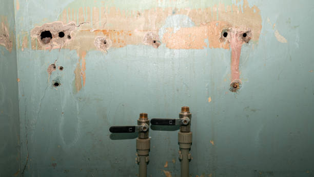 Best Fire Damage Restoration  in Battlefield, MO