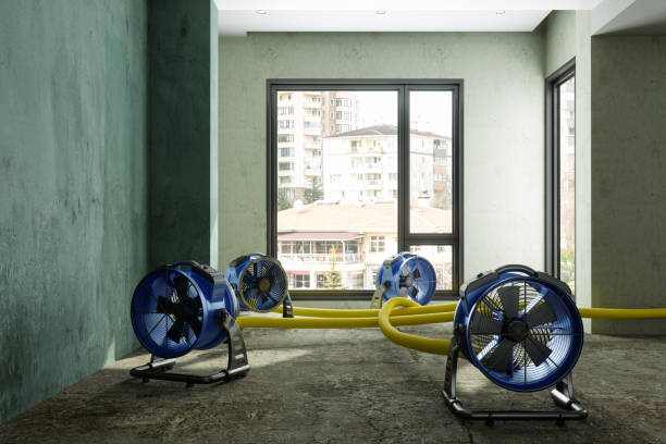 Best Residential water damage restoration  in Battlefield, MO