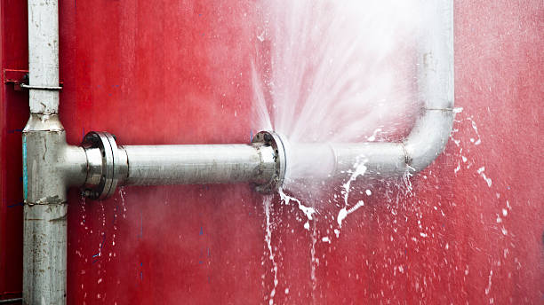 Best Water damage restoration insurance claims  in Battlefield, MO